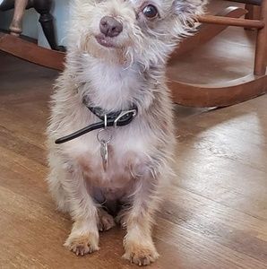 Meet your Posher, Robin